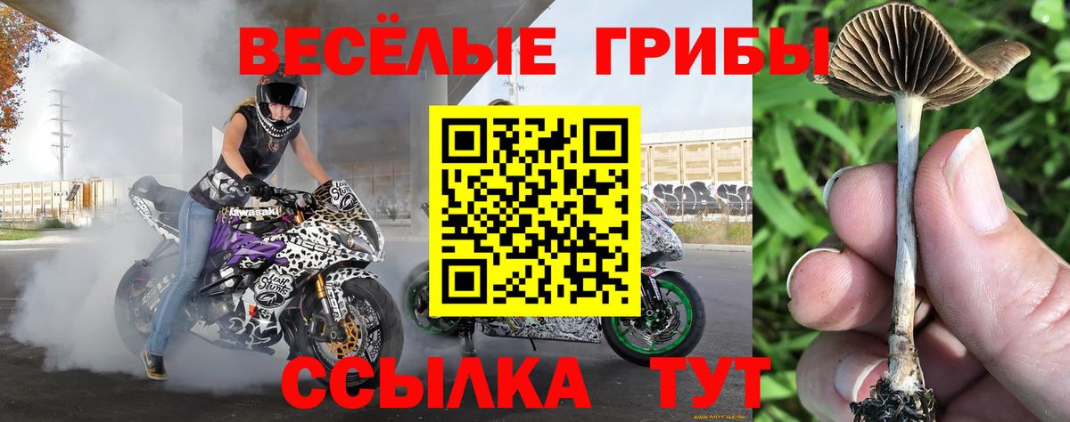 Галлюциногенные грибы Magic Shrooms  Вход с VPN  Галлюциногенные грибы ЛСД  Балаково 